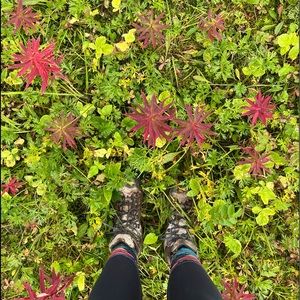 Meet your Posher, Holley